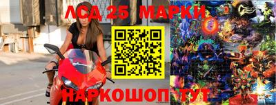 молекула духа Кандалакша