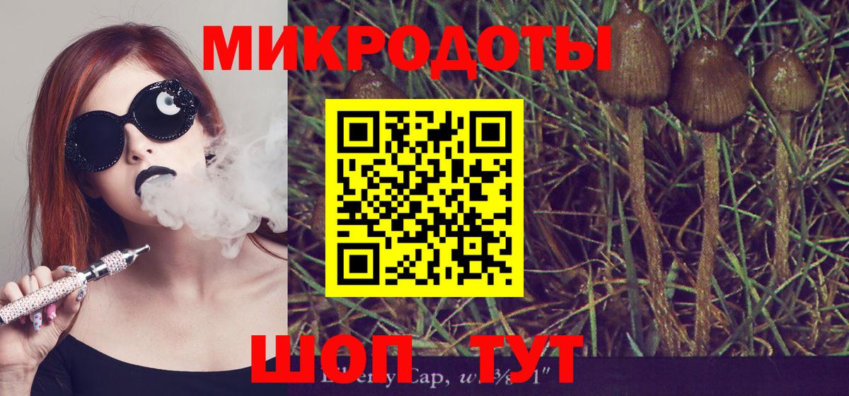 Кудрово  Псилоцибиновые грибы мухоморы  Вход с VPN 