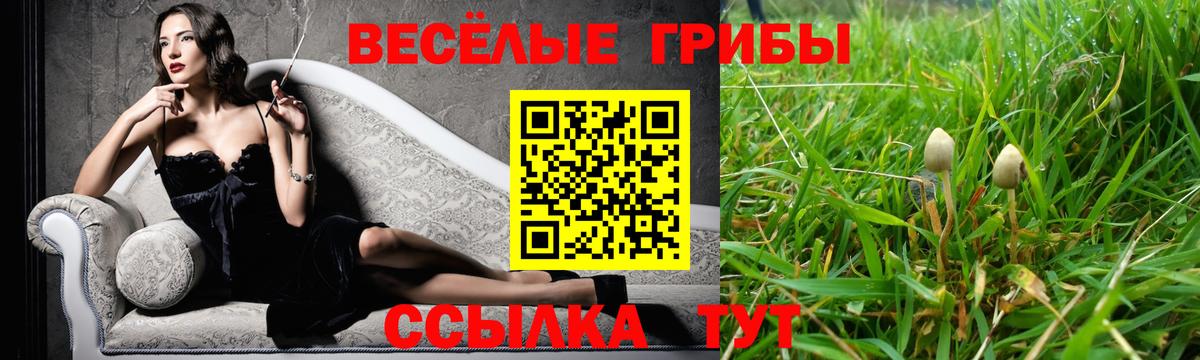Галлюциногенные грибы Psilocybine cubensis Кудрово