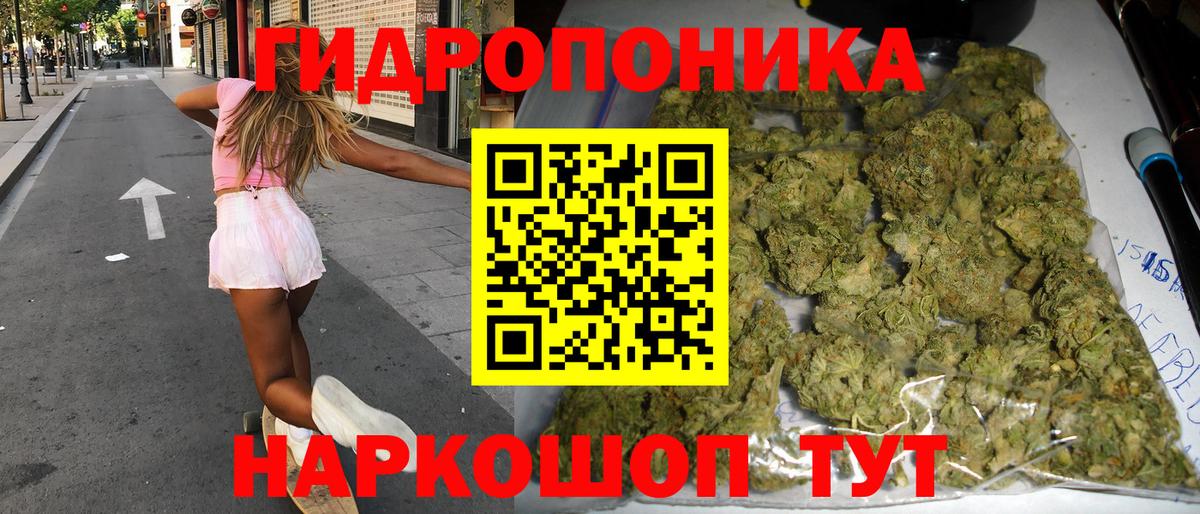 Каннабис планчик Кудрово